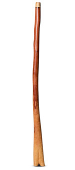 Wix Stix Didgeridoo (WS162)